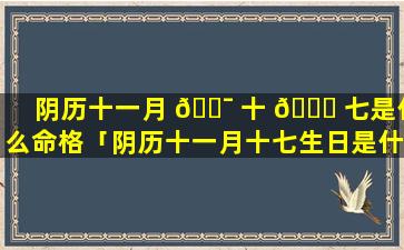 阴历十一月 🐯 十 🐞 七是什么命格「阴历十一月十七生日是什么星座」